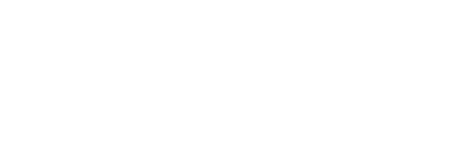 our services include-10